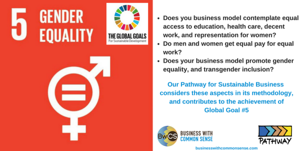 Goal 5 Gender Equality-3